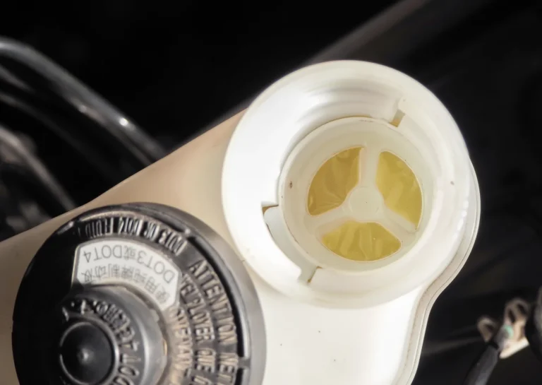 During a Brake Fluid Flush
